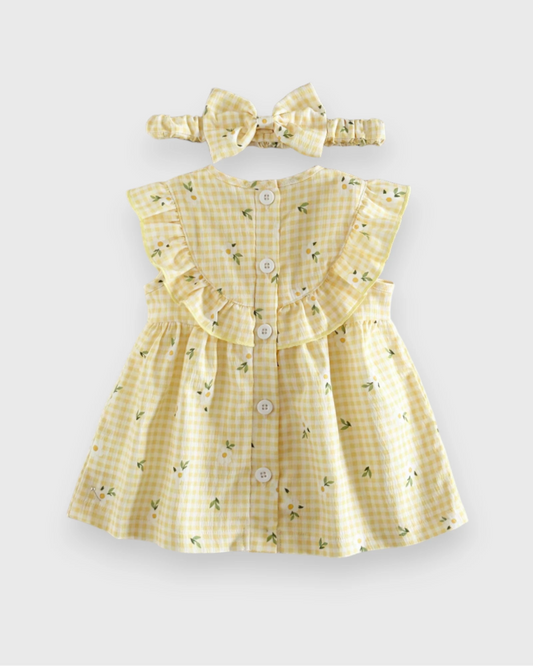2 Pc Baby Girl Flower Ruffle Bib Gingham Dress
