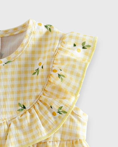 2 Pc Baby Girl Flower Ruffle Bib Gingham Dress