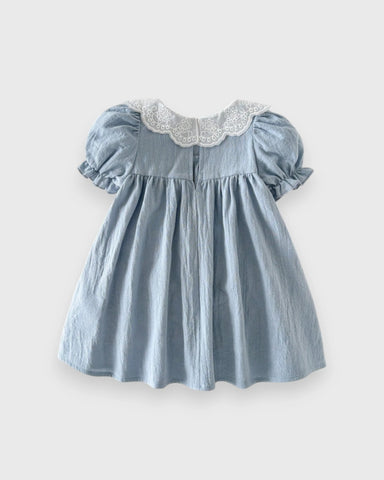 Baby Girl Lace Scallop Collar Four Ducky Patch Dress