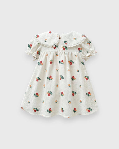Baby Girl Floral Print Scallop Collar Bow Dress