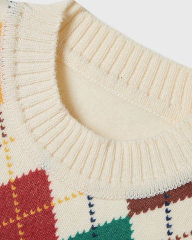 Boys Multicolor Argyle Knit Sweater Vest