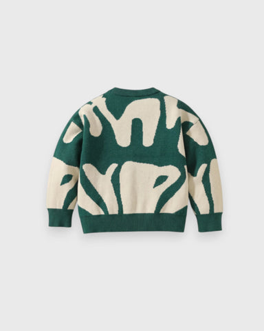 Boys Abstract-Print Knit Sweater