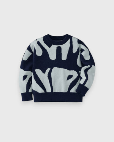 Boys Abstract-Print Knit Sweater