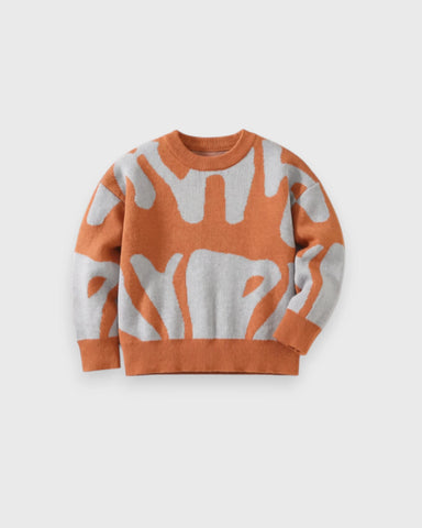 Boys Abstract-Print Knit Sweater