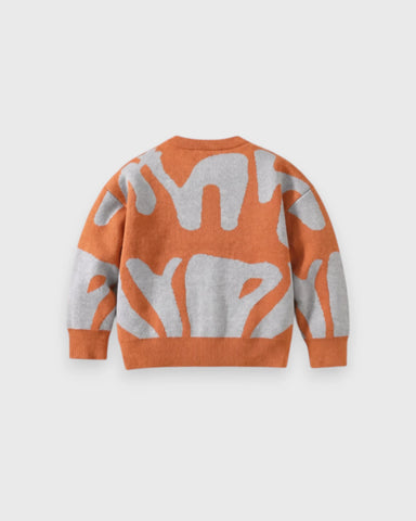 Boys Abstract-Print Knit Sweater