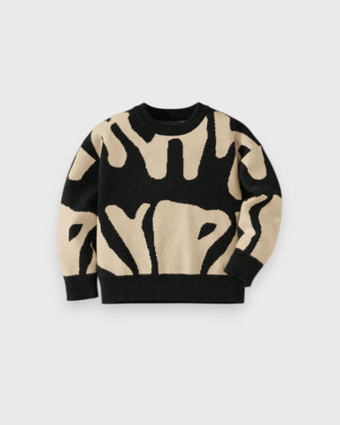 Boys Abstract-Print Knit Sweater
