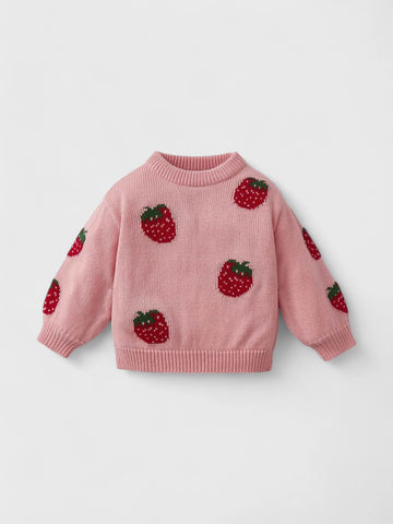 Baby Girl Strawberry Knit Crewneck Sweater