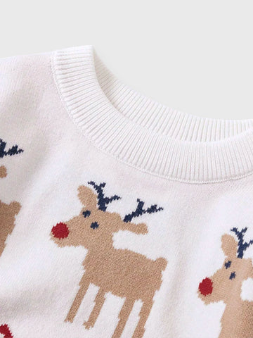 Boys Reindeer Chevron Knit Sweater