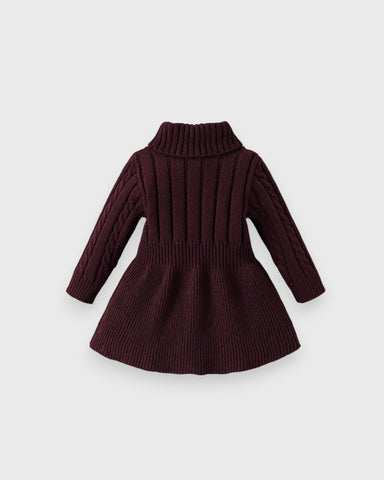 Baby Girl Turtle Neck Sweater Dress