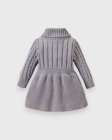 Baby Girl Turtle Neck Sweater Dress