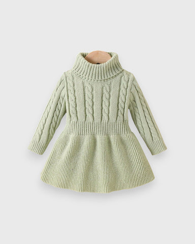 Baby Girl Turtle Neck Sweater Dress