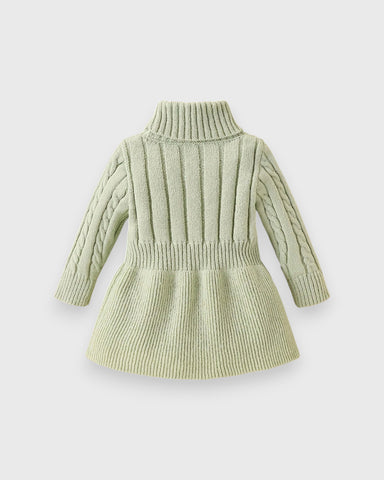 Baby Girl Turtle Neck Sweater Dress