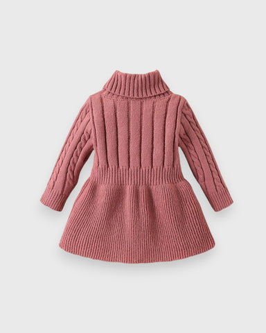 Baby Girl Turtle Neck Sweater Dress