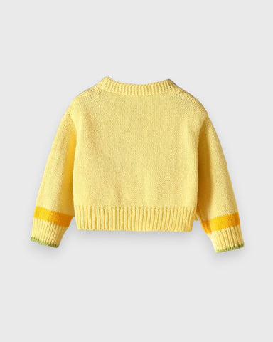 Baby Girl Spring Bee Cardigan