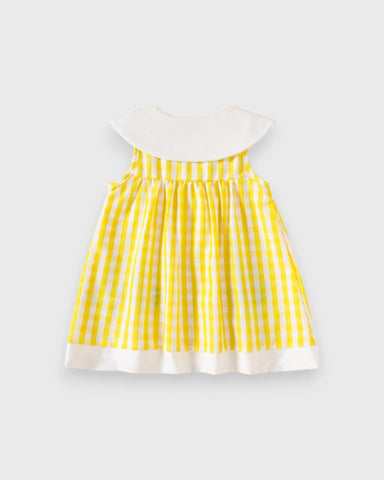 Baby Girl Animal Patch Gingham Collar Dress