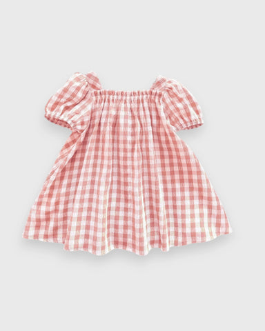 Baby Girl Spring Flower Gingham Swing Dress
