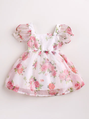 Baby Girl Floral Organza Bubble Sleeve Dress